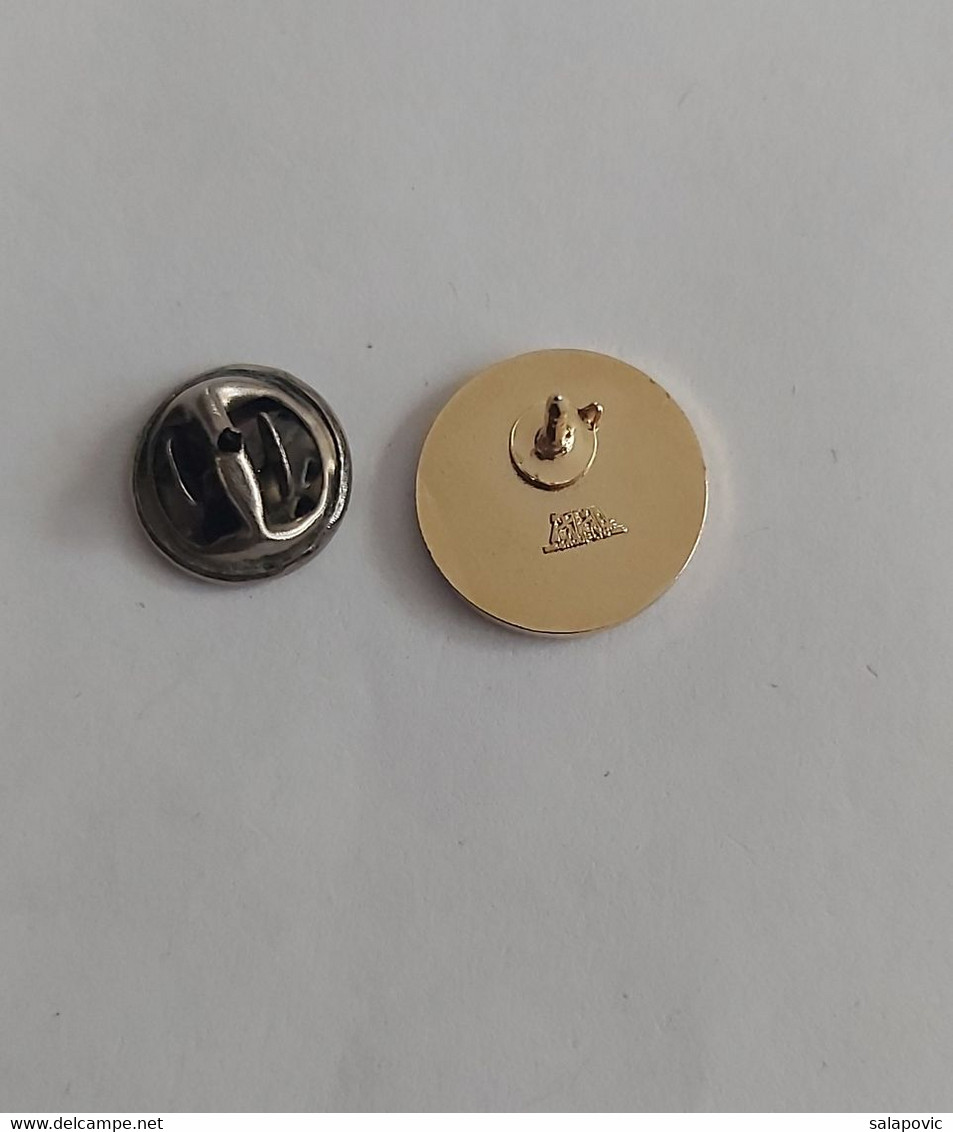 Ireland Irish Amateur Gymnastics Federation Association Union  PIN A11/5 - Gymnastique