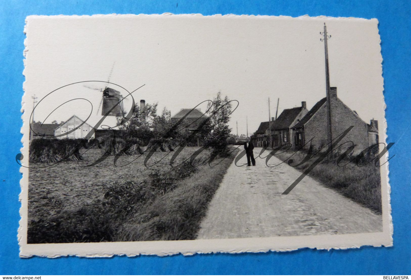 Alveringem. Lindemolenhoek  Molen Windmolen Moulin  A Vent. - Molinos De Viento