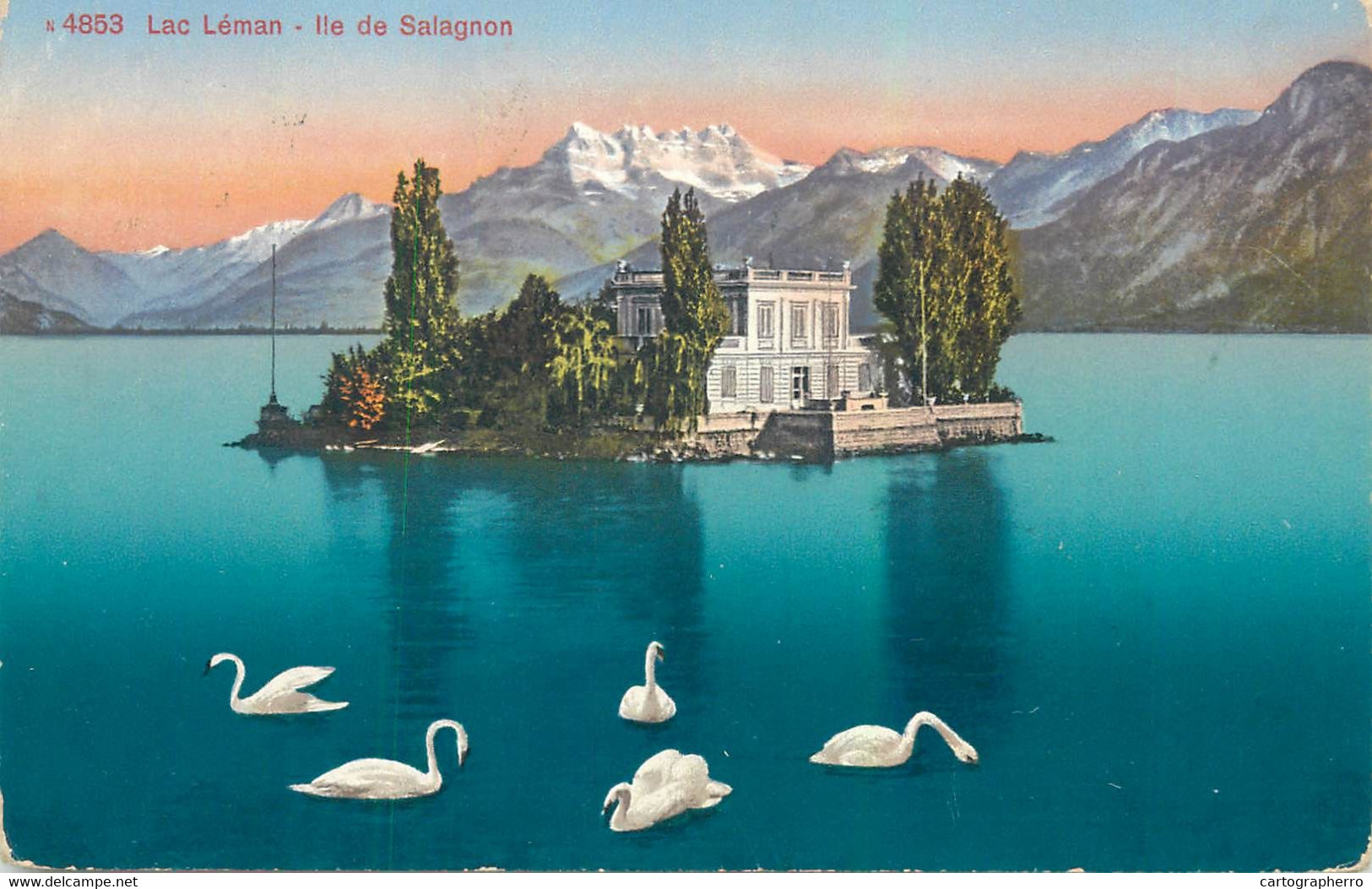 Lac Leman Ile De Salagnon Cignes 1916 - Agno