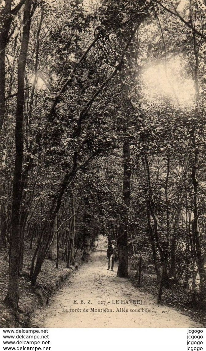 LE HAVRE. La Forêt De Montjeon. Allée Sous Bois.  2 Scans  TBE - Forêt De Montgeon