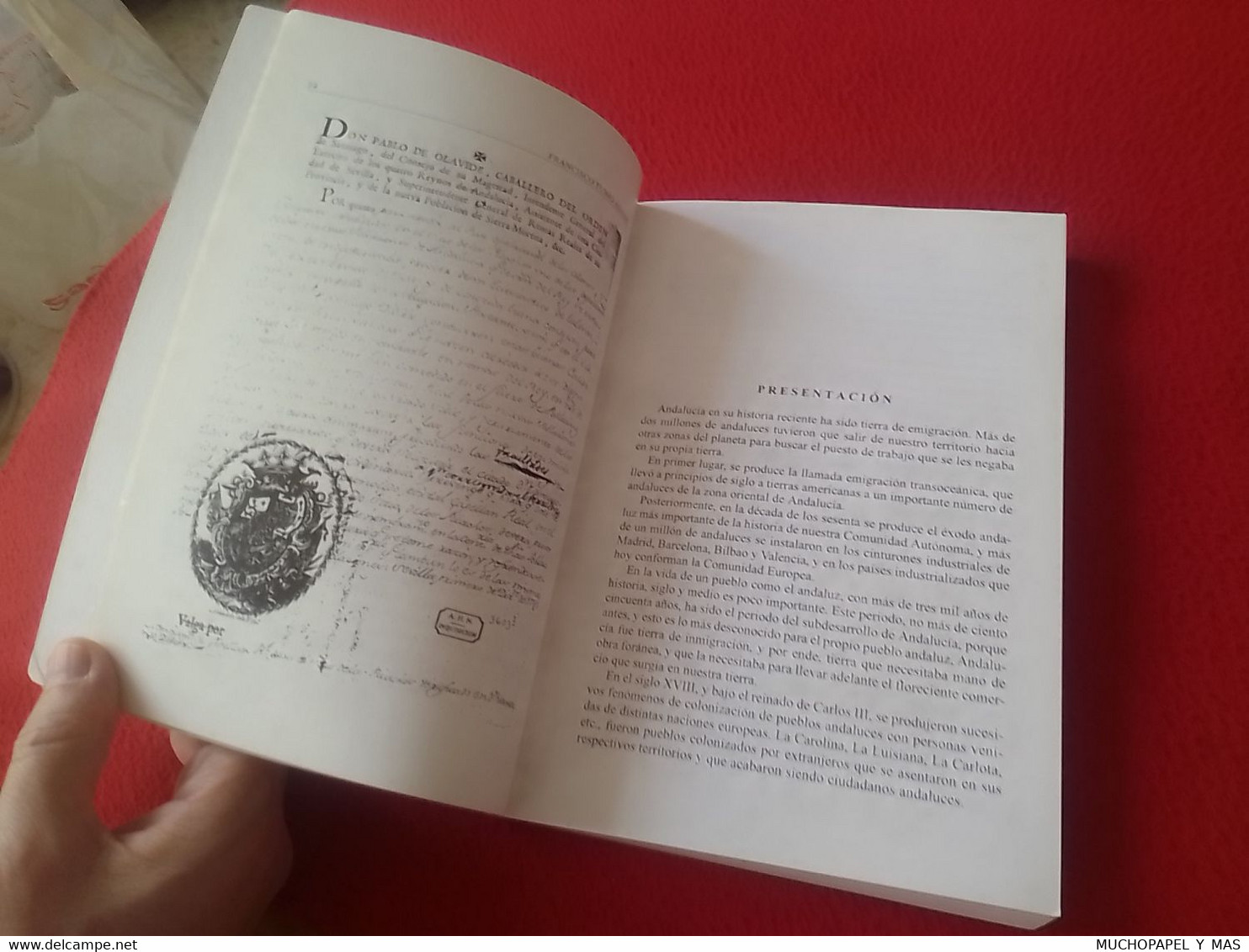 SPAIN LIBRO 1998 HISTORIA DE LA COLONIA DE FUENTE PALMERA (CÓRDOBA) 1767-1900 FRANCISCO TUBÍO ADAME, NUEVAS POBLACIONES. - Histoire Et Art