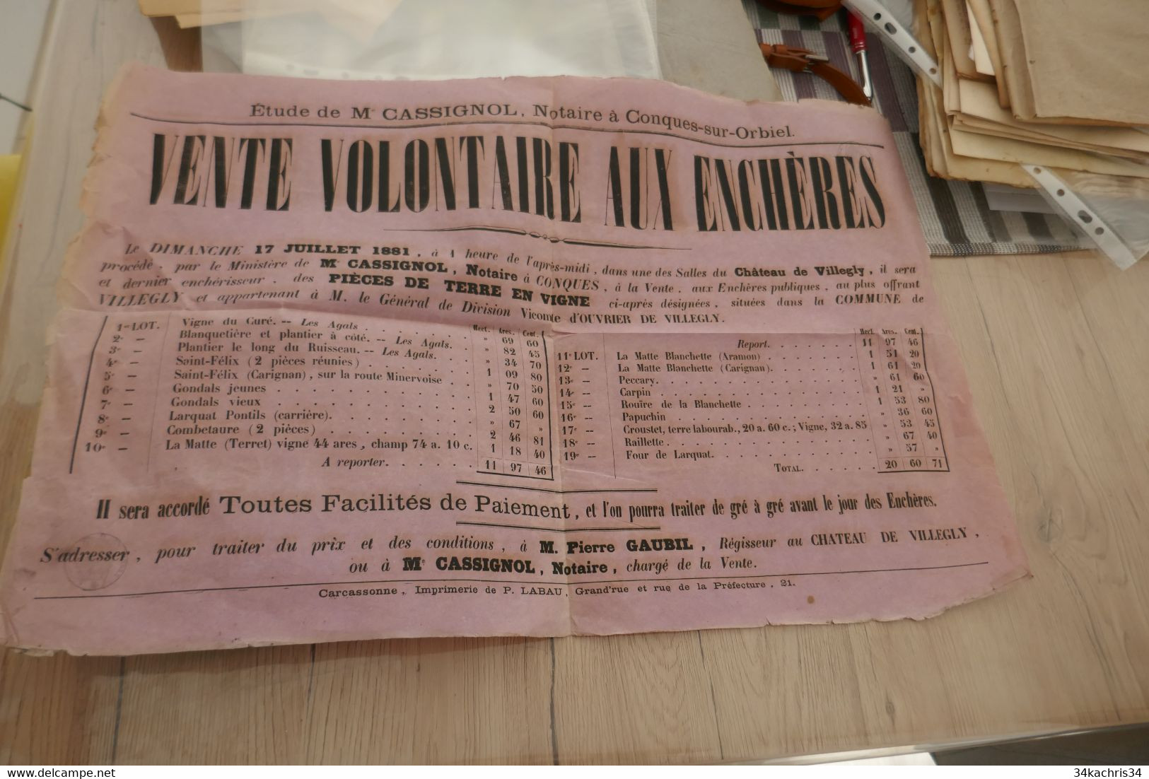 Affiche Placard 40 X 60 Env Vente Enchères Conqus Sur Orbiel 1881 Pièces De Terres De Vignes Villegly Aude - Posters