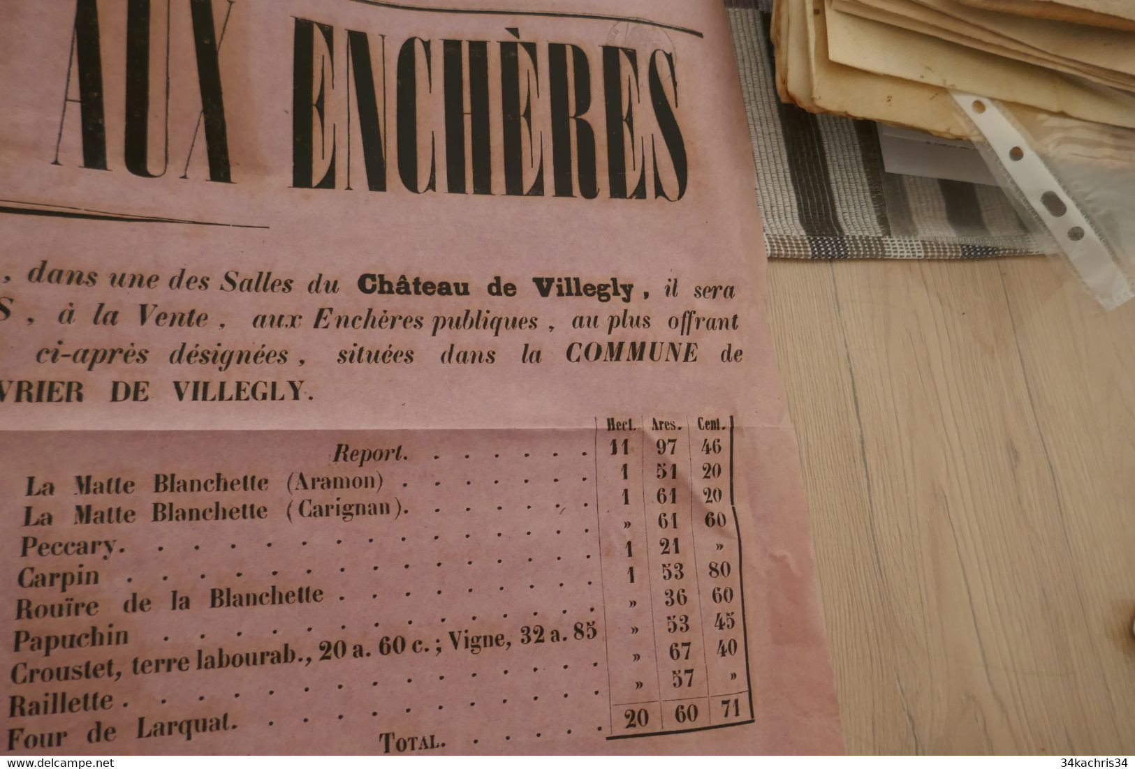 Affiche Placard 40 X 60 Env Vente Enchères Conqus Sur Orbiel 1881 Pièces De Terres De Vignes Villegly Aude - Posters