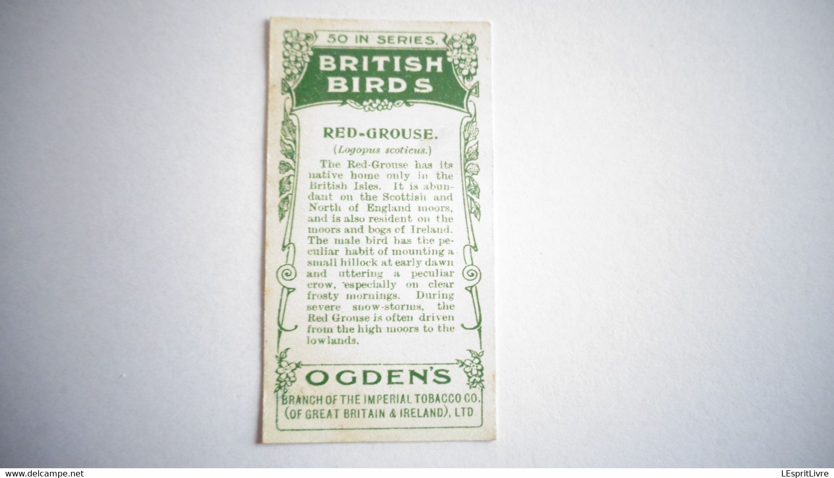 BRITISH BIRDS N° 1 RED GROUSE Oiseau Bird  Cigarettes OGDEN'S Tobacco Vignette Trading Card Chromo - Ogden's