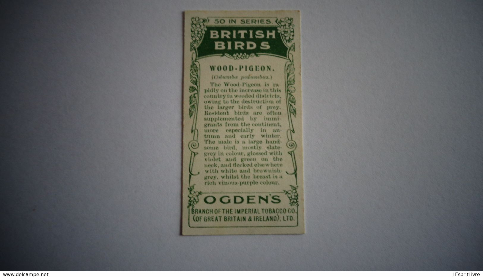 BRITISH BIRDS N° 5 WOOD PIGEON Oiseau Bird  Cigarettes OGDEN'S Tobacco Vignette Trading Card Chromo - Ogden's