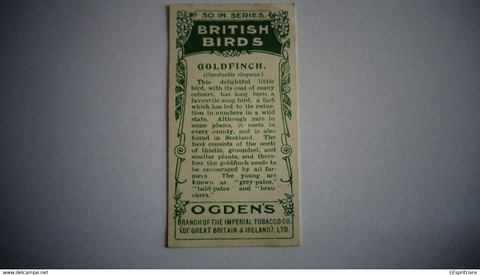 BRITISH BIRDS N° 7 GOLDFINCH Oiseau Bird  Cigarettes OGDEN'S Tobacco Vignette Trading Card Chromo - Ogden's