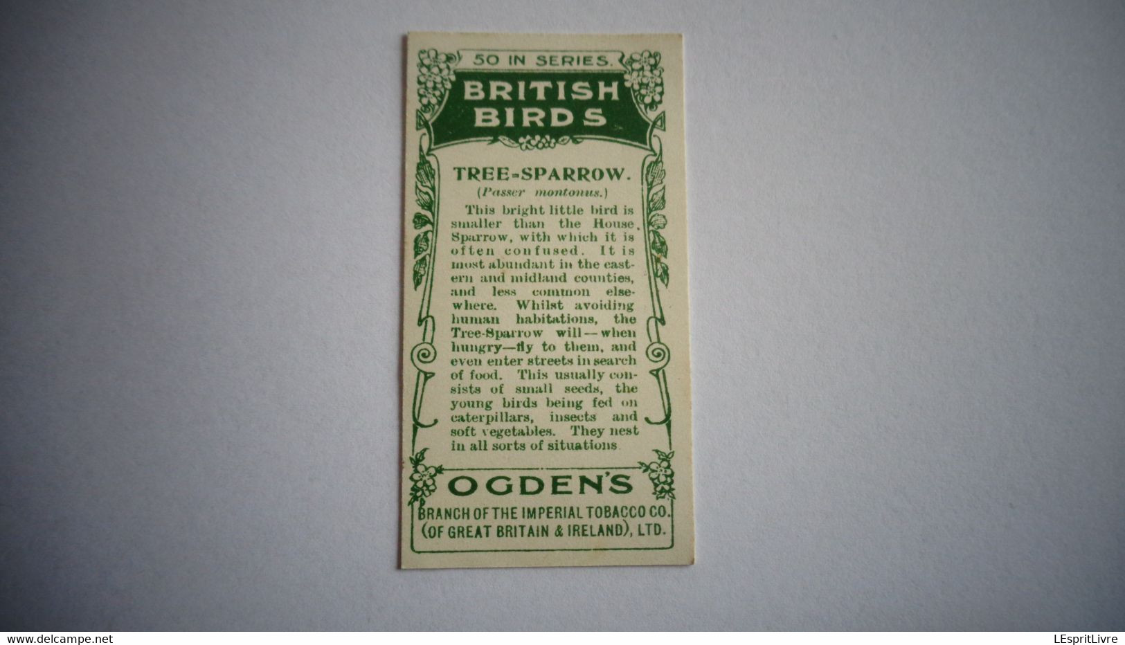 BRITISH BIRDS N° 9 TREE SPARROW Oiseau Bird  Cigarettes OGDEN'S Tobacco Vignette Trading Card Chromo - Ogden's