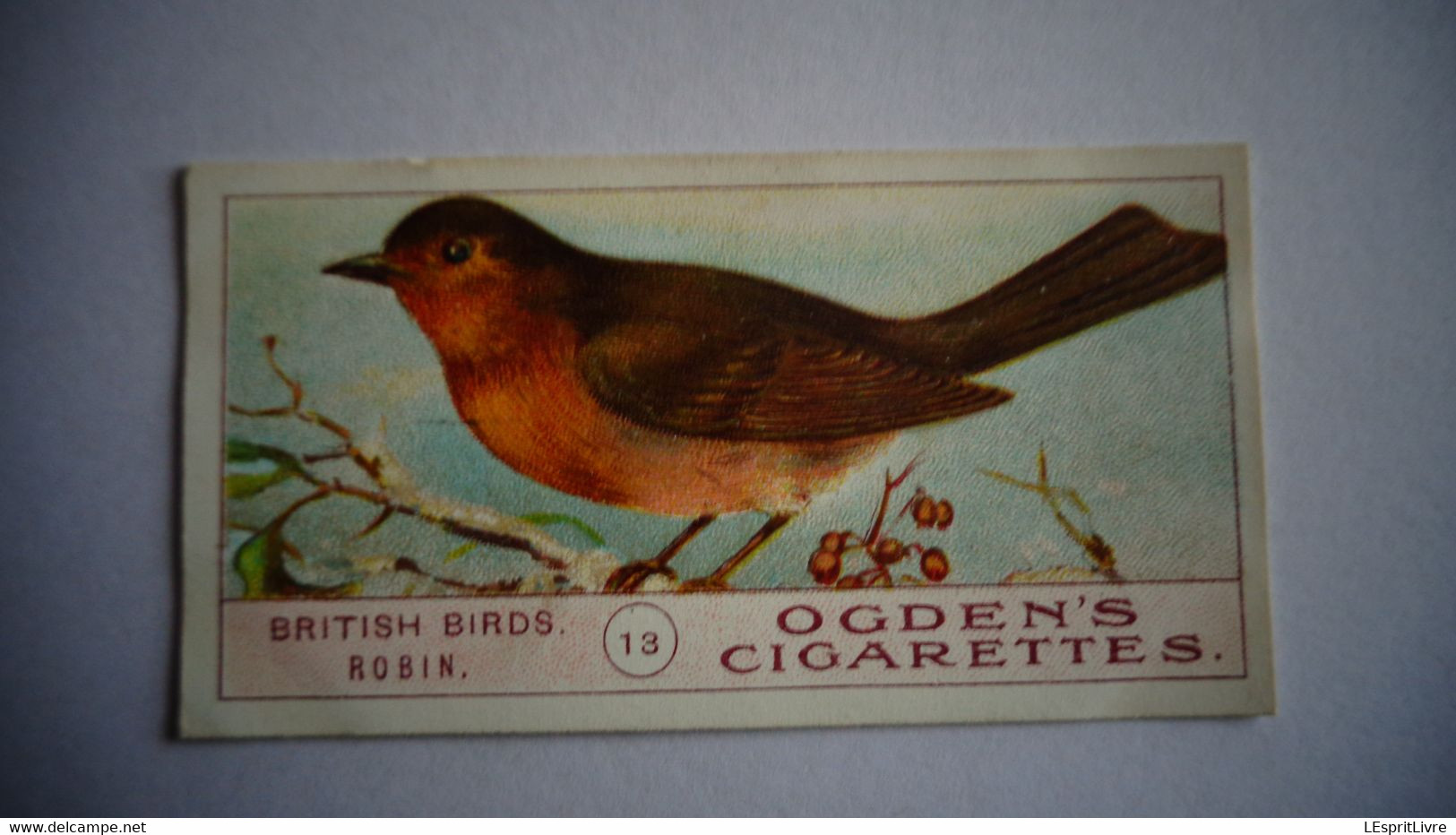 BRITISH BIRDS N° 13 ROBIN  Oiseau Bird  Cigarettes OGDEN'S Tobacco Vignette Trading Card Chromo - Ogden's