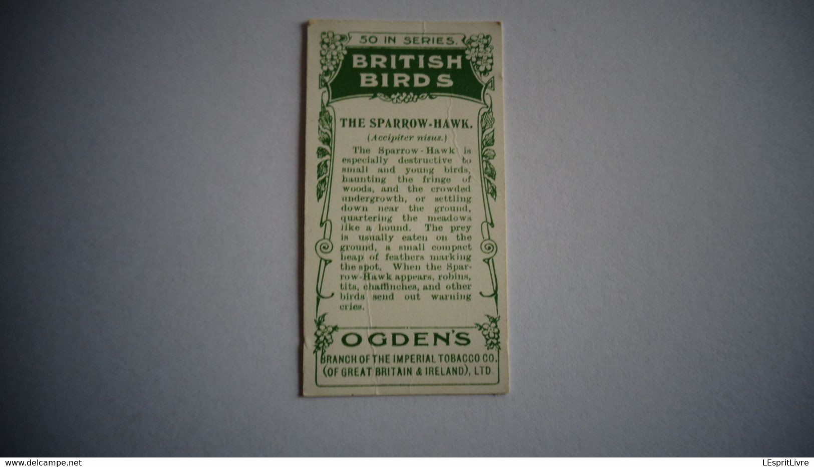 BRITISH BIRDS N° 14 SPARROW HAWK Oiseau Bird  Cigarettes OGDEN'S Tobacco Vignette Trading Card Chromo - Ogden's