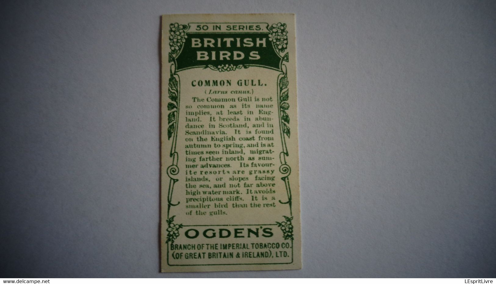 BRITISH BIRDS N° 16 COMMON GULL  Oiseau Bird  Cigarettes OGDEN'S Tobacco Vignette Trading Card Chromo - Ogden's