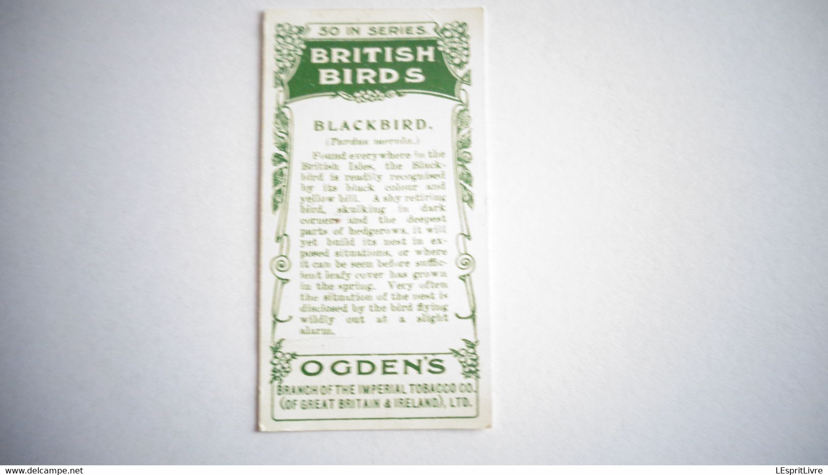 BRITISH BIRDS N° 18 BLACKBIRD Oiseau Bird  Cigarettes OGDEN'S Tobacco Vignette Trading Card Chromo - Ogden's