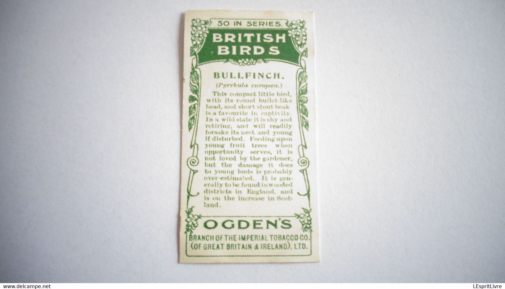 BRITISH BIRDS N° 19 BULLFINCH Oiseau Bird  Cigarettes OGDEN'S Tobacco Vignette Trading Card Chromo - Ogden's