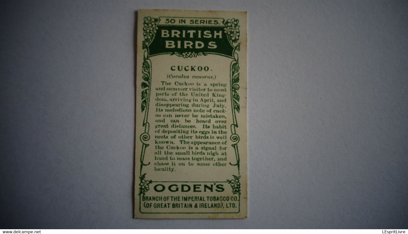 BRITISH BIRDS N° 22 CUCKOO  Oiseau Bird  Cigarettes OGDEN'S Tobacco Vignette Trading Card Chromo - Ogden's