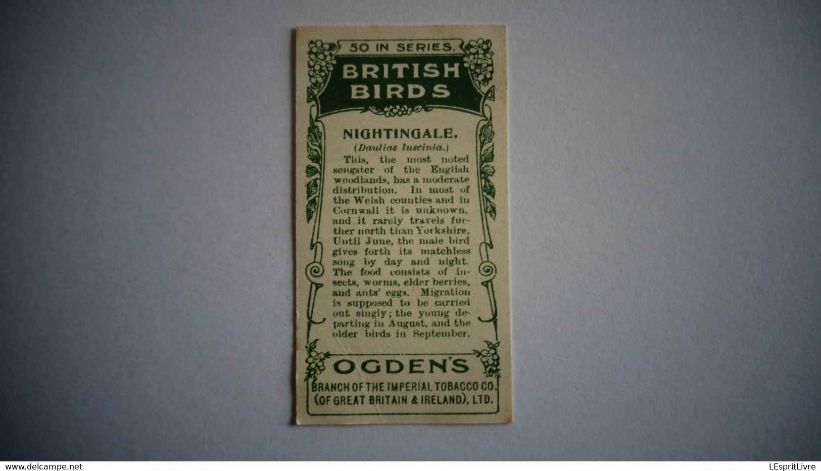 BRITISH BIRDS N° 25 NIGHTINGALE Oiseau Bird  Cigarettes OGDEN'S Tobacco Vignette Trading Card Chromo - Ogden's