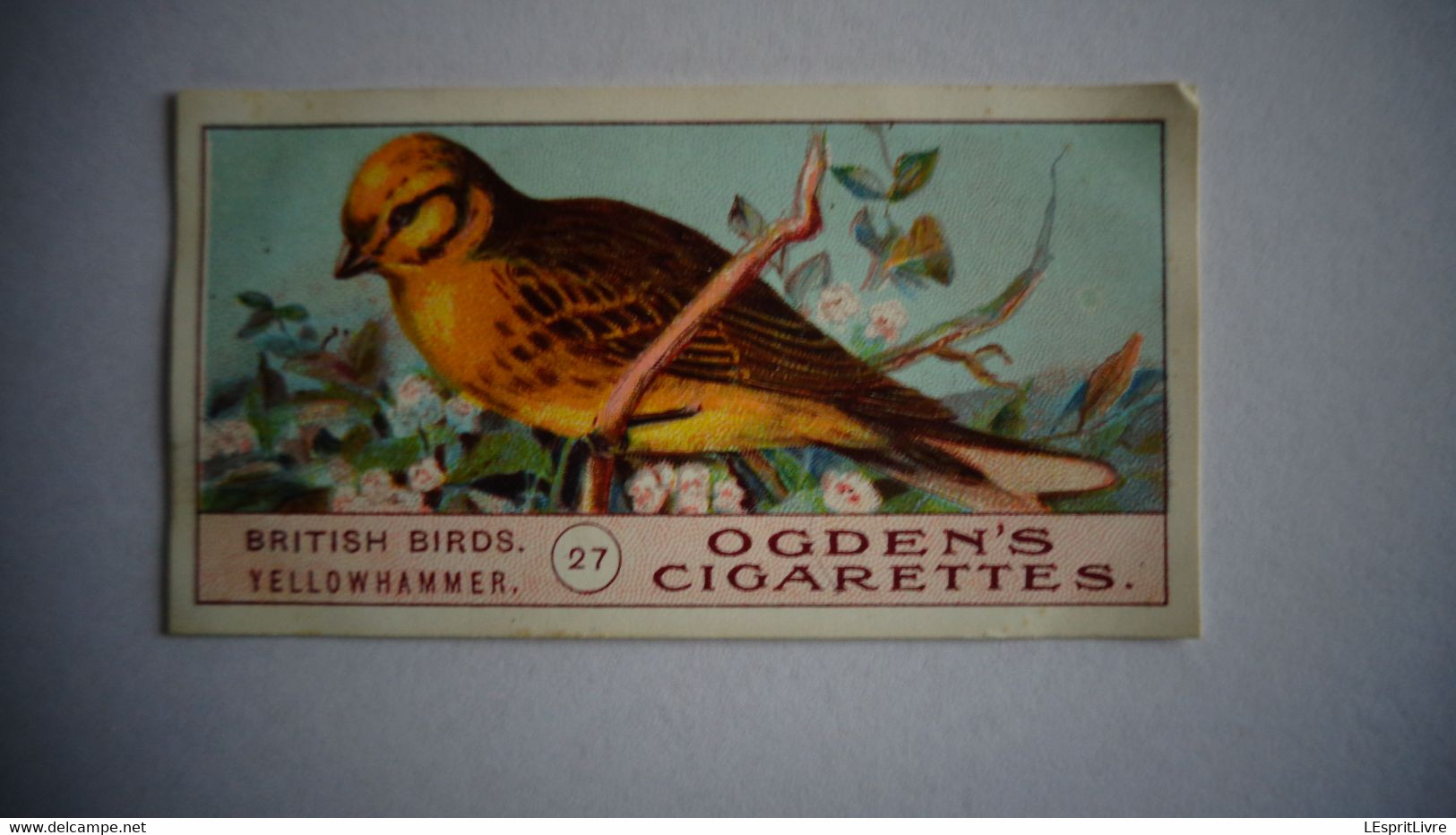 BRITISH BIRDS N° 27 YELLOWHAMMER  Oiseau Bird  Cigarettes OGDEN'S Tobacco Vignette Trading Card Chromo - Ogden's