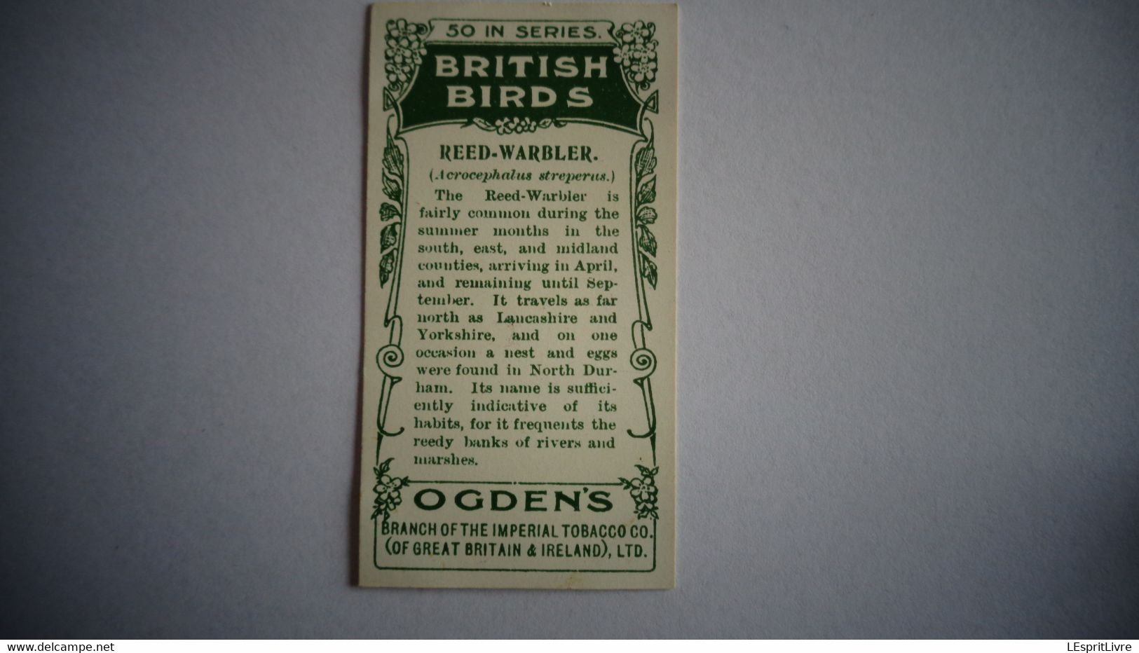 BRITISH BIRDS N° 30 REED WARBLER Oiseau Bird  Cigarettes OGDEN'S Tobacco Vignette Trading Card Chromo - Ogden's