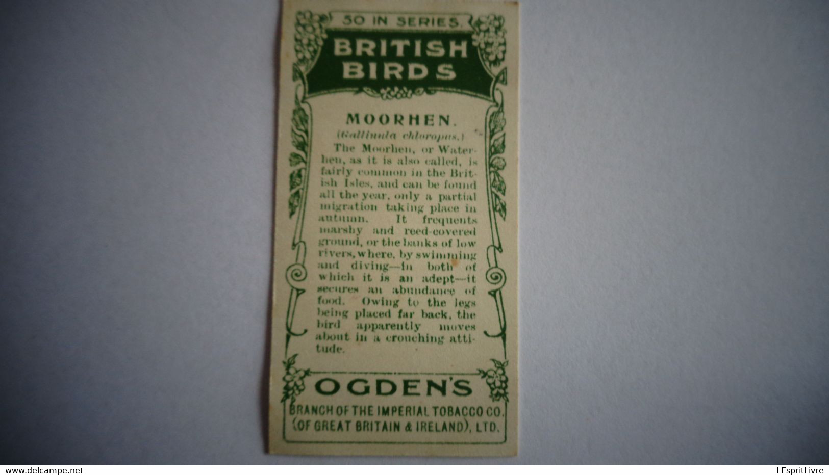 BRITISH BIRDS N° 32 MOORHEN Oiseau Bird  Cigarettes OGDEN'S Tobacco Vignette Trading Card Chromo - Ogden's