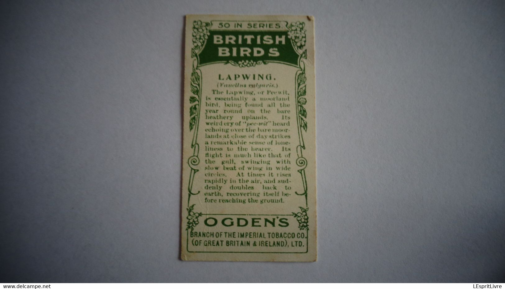 BRITISH BIRDS N° 34 LAPWING  Oiseau Bird  Cigarettes OGDEN'S Tobacco Vignette Trading Card Chromo - Ogden's