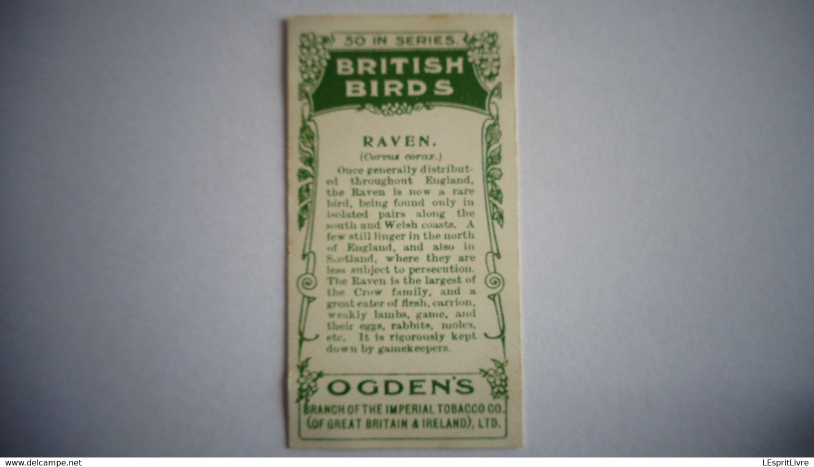 BRITISH BIRDS N° 37 RAVEN  Oiseau Bird  Cigarettes OGDEN'S Tobacco Vignette Trading Card Chromo - Ogden's