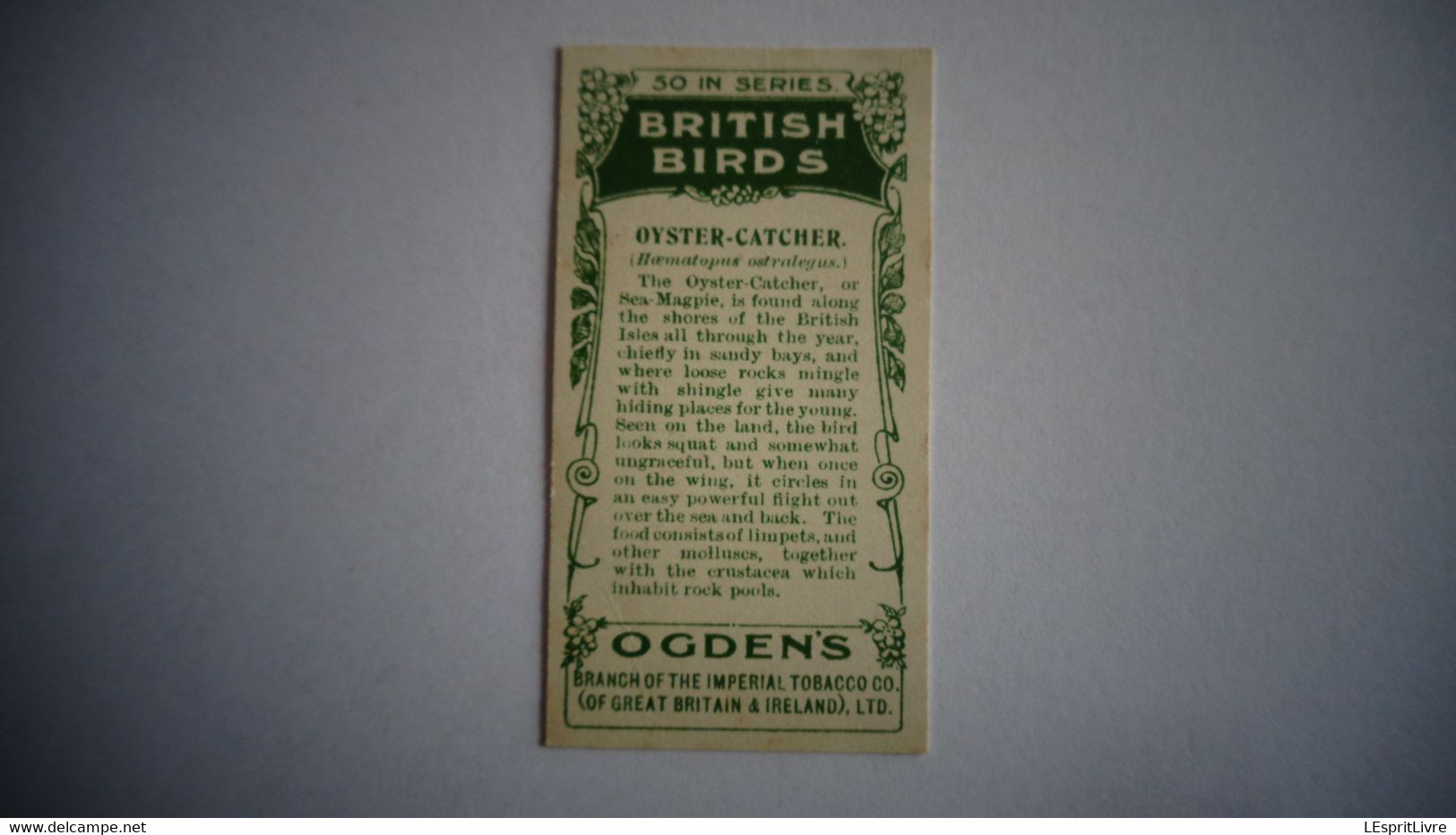 BRITISH BIRDS N° 39 OYSTER CATCHER  Oiseau Bird  Cigarettes OGDEN'S Tobacco Vignette Trading Card Chromo - Ogden's