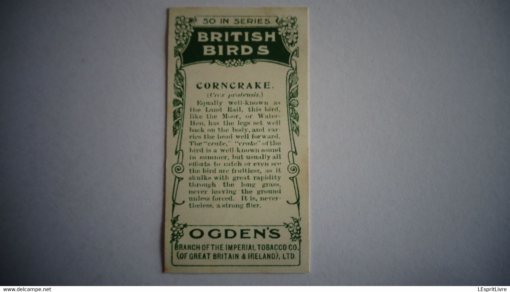 BRITISH BIRDS N° 40 CORNCRAKE Oiseau Bird  Cigarettes OGDEN'S Tobacco Vignette Trading Card Chromo - Ogden's