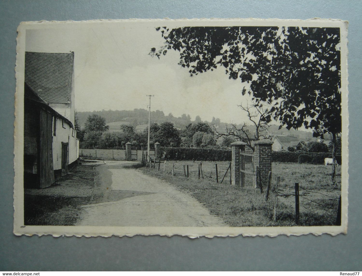 Amougies - Ferme Ancienne - Vue Panoramique Sur Les Bois - Kluisbergen