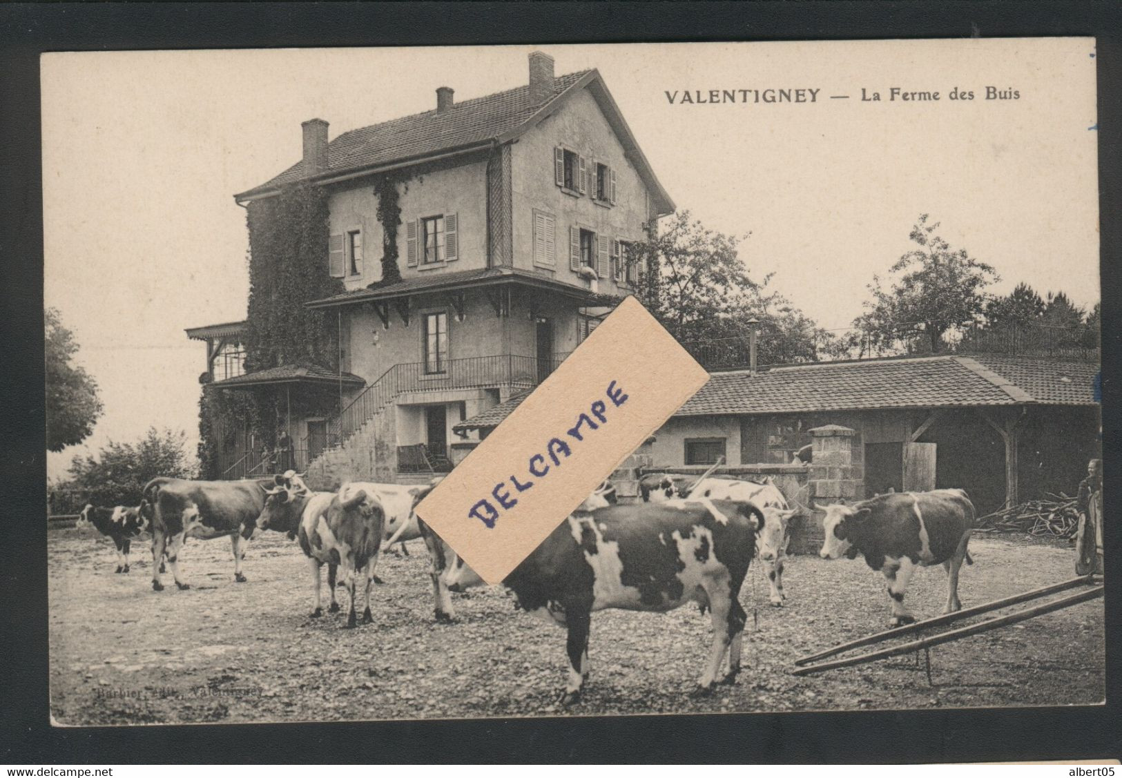 25 - Valentigney - La Ferme Des Buis - Troupeau - Vaches Montbéliardes Beau Plan - Valentigney