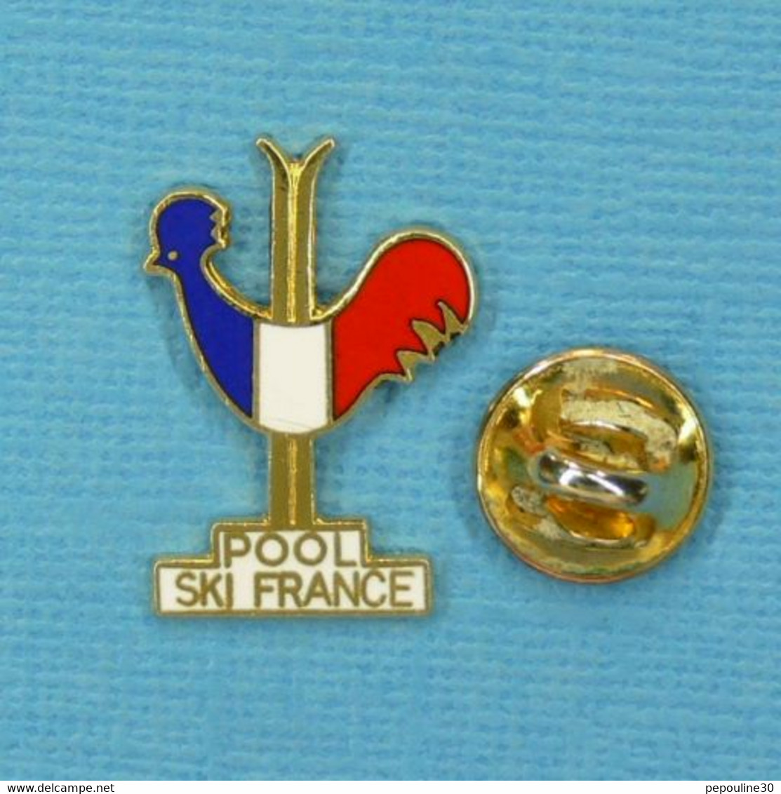 1 PIN'S //  ** POOL SKI FRANCE / PARTENAIRES DE LA F.F.S. FÉDÉRATION FRANÇAISE DE SKI ** - Sports D'hiver