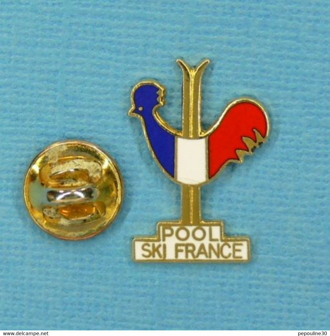 1 PIN'S //  ** POOL SKI FRANCE / PARTENAIRES DE LA F.F.S. FÉDÉRATION FRANÇAISE DE SKI ** - Sports D'hiver