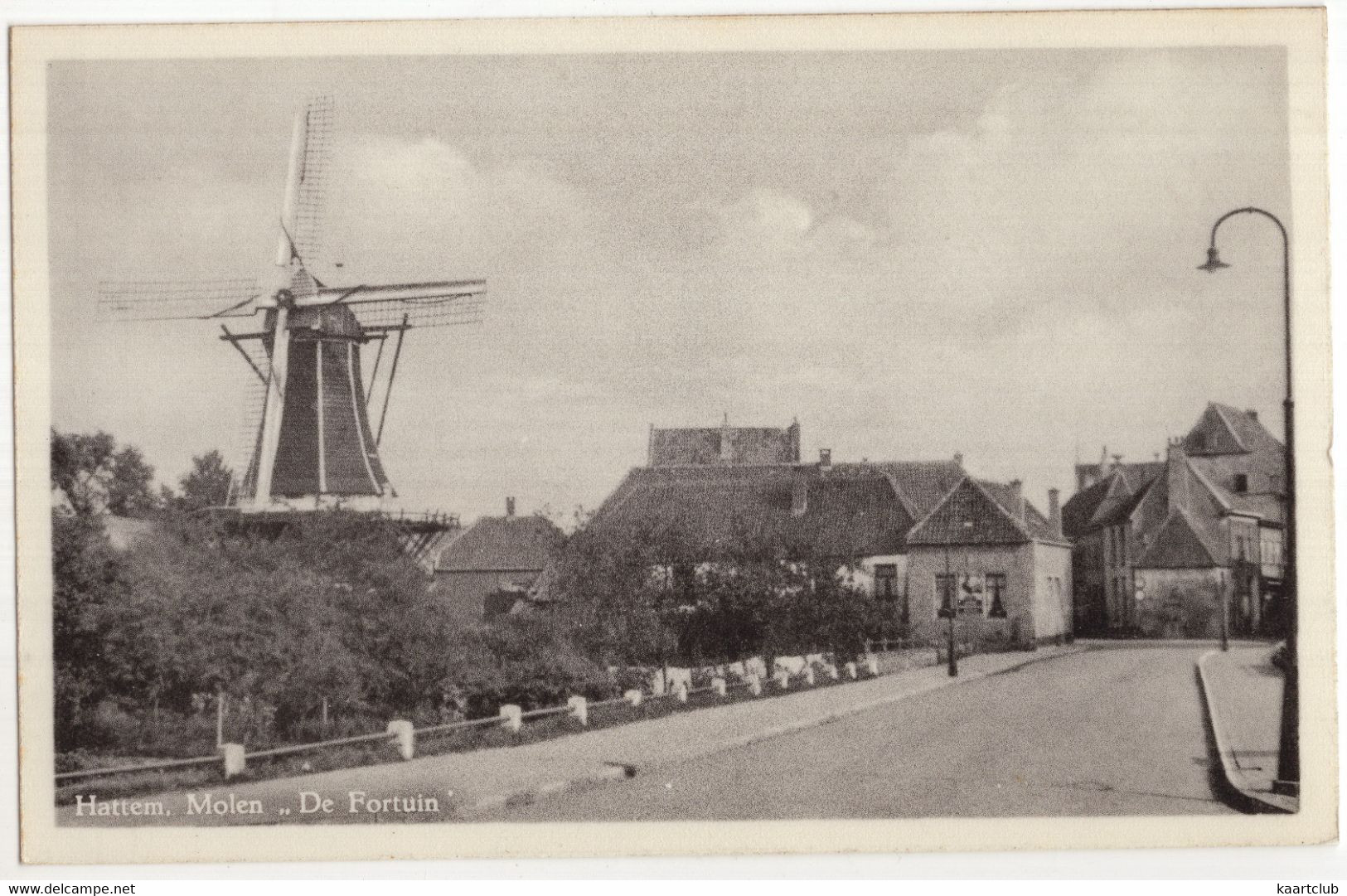 Hattem, Molen 'De Fortuin' -  (Gelderland, Nederland/Holland) - Moulin/Mühle/Mill/Molen - Hattem