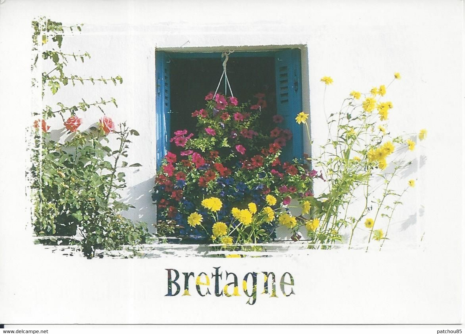 CPM  France    29 Finistère   Plomodierrn  La Bretagne En Couleur Beau Décor Fleuri Oblitérée Le 14-9-1998 - Plomodiern