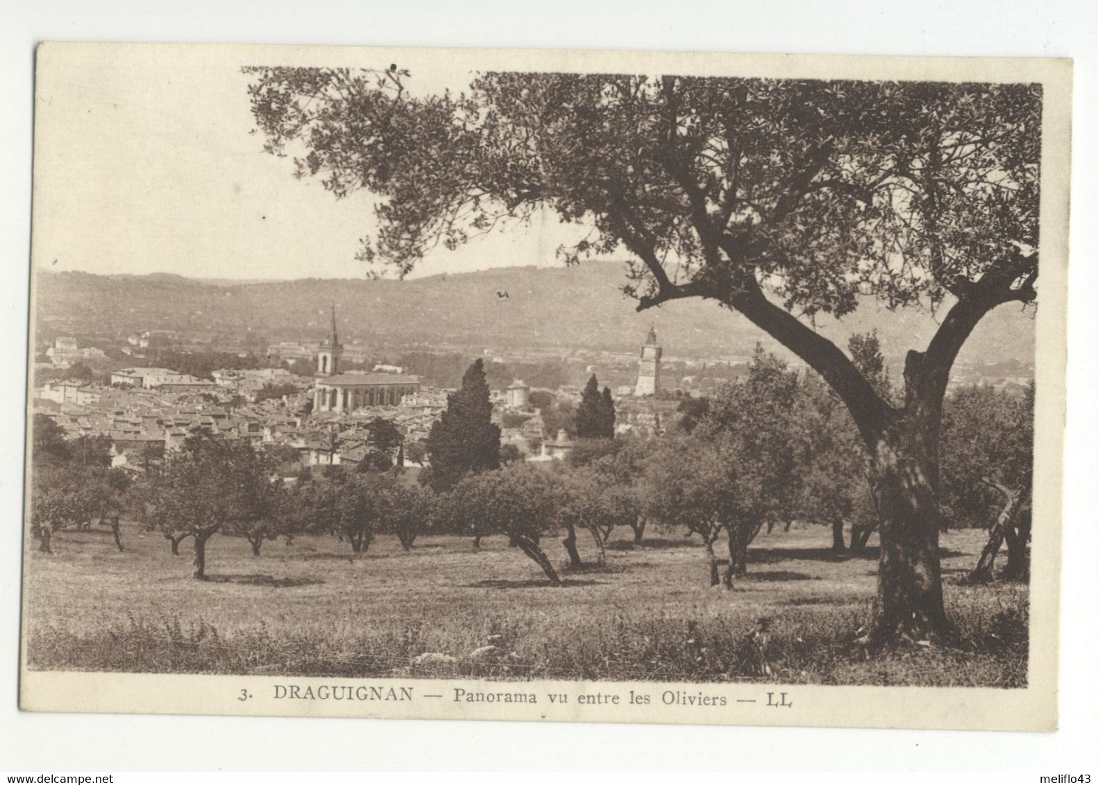 83/CPA - Draguignan - Panorama Vu Entre Les Oliviers - Draguignan