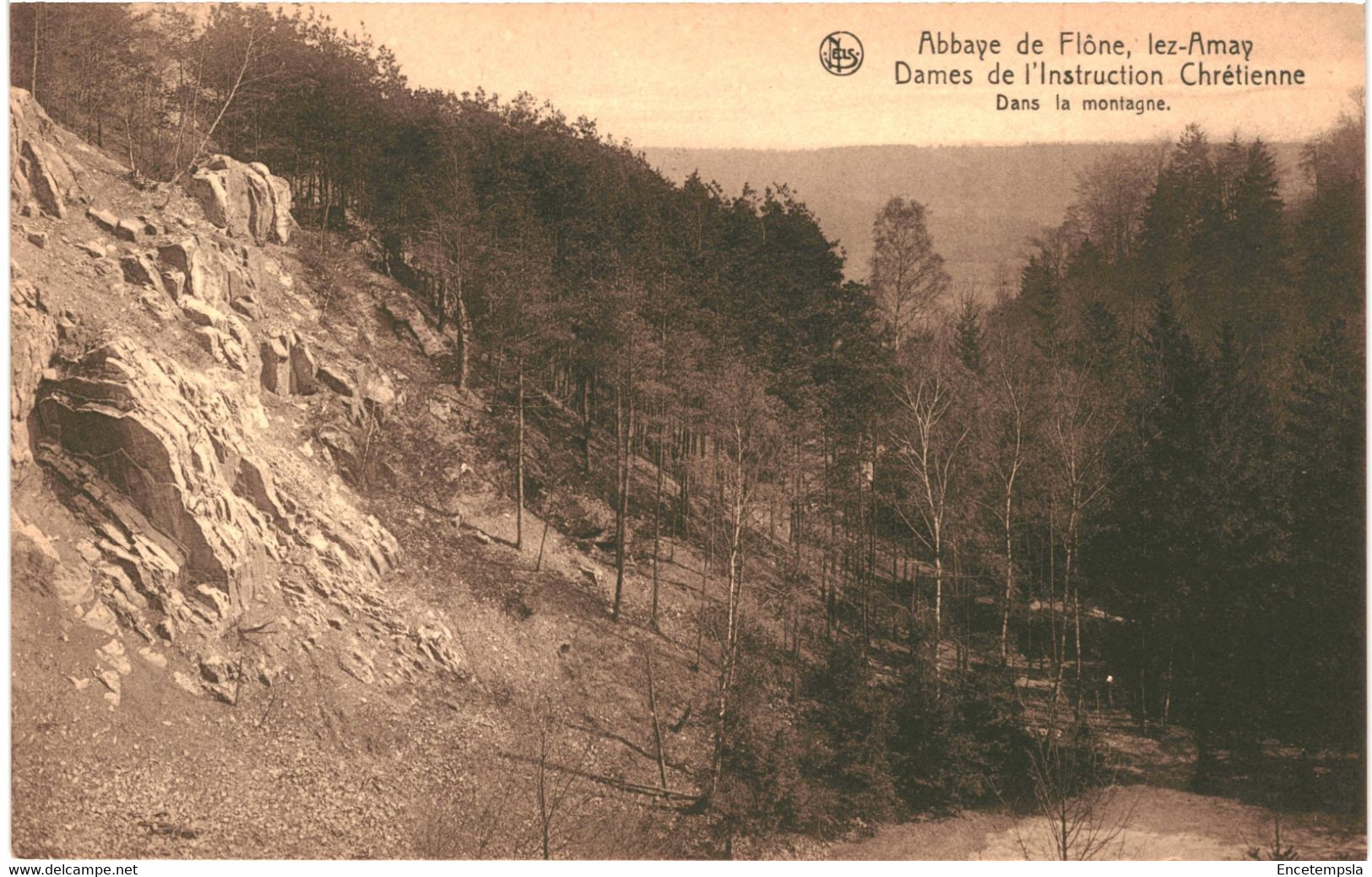 CPA Carte Postale  Belgique Flône Lez Amay Abbaye Dames De L'intruction Chrétienne Dans La Montagne VM58391 - Amay