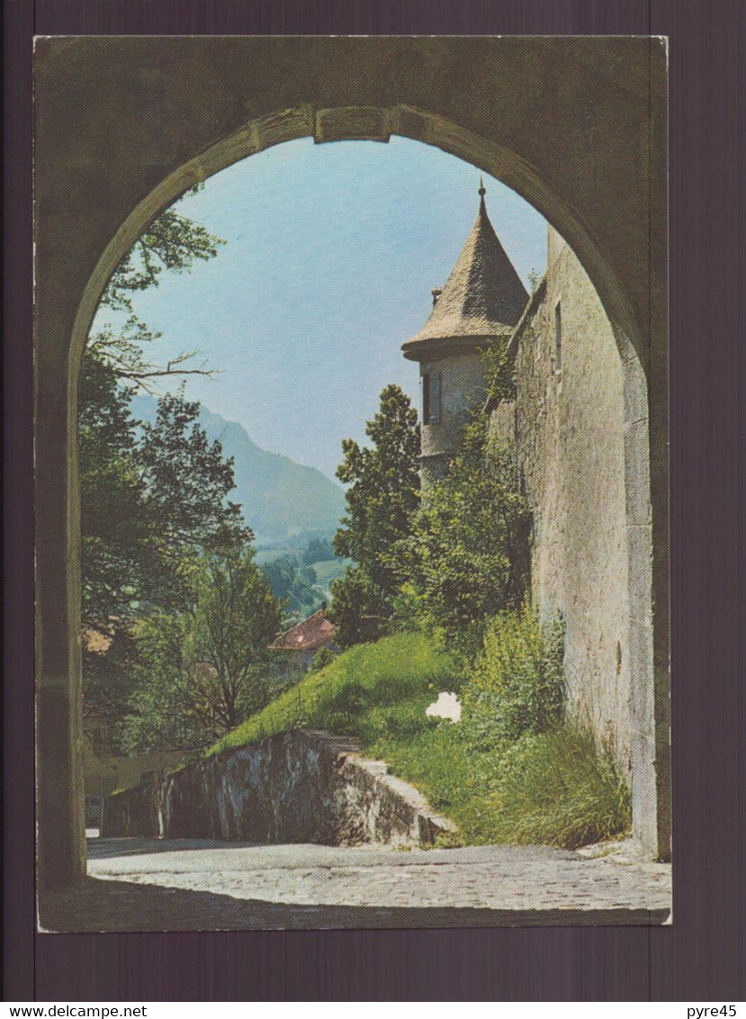 SUISSE VUE DEPUIS L ENTREE DU CHATEAU DE CHATEL SAINT DENIS - Châtel-Saint-Denis