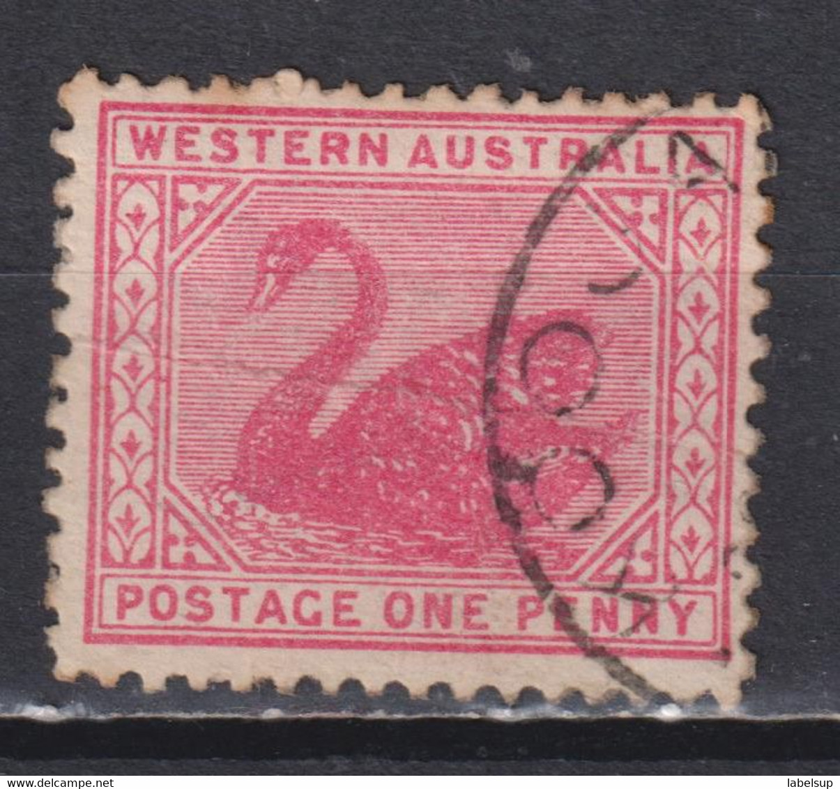 Timbre Oblitéré D'Australie Ouest De 1905 N° MI 62A - Usados