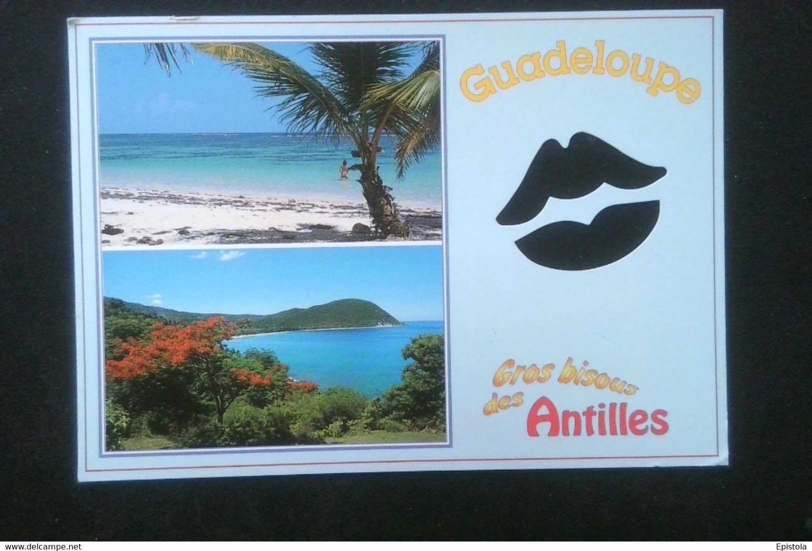 ► - FRANCE Variété N° 3365 - 3 F. 3ème Millénaire 2000 - ENVELOPPE VIOLETTE   Sur Carte De La Guadeloupe - Lettres & Documents