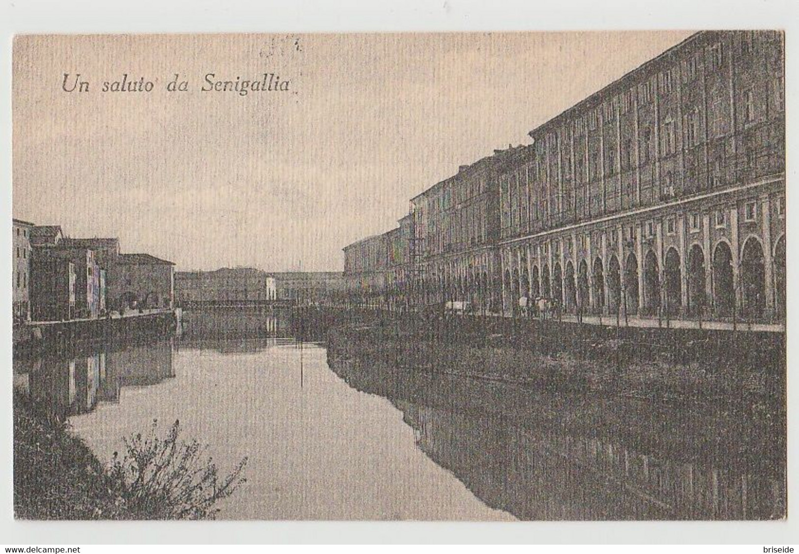 SENIGALLIA  ANCONA PORTICI ERCOLANI UN SALUTO DA SENIGALLIA F/P VIAGGIATA 1919 - Senigallia