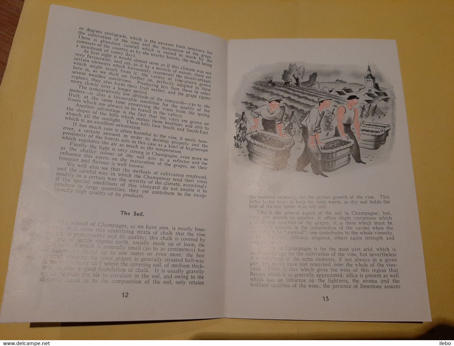 Plaquette The Champagne Wine Illustré Par André Giroux Histoire Vignoble Vinification Oenologie - Other & Unclassified