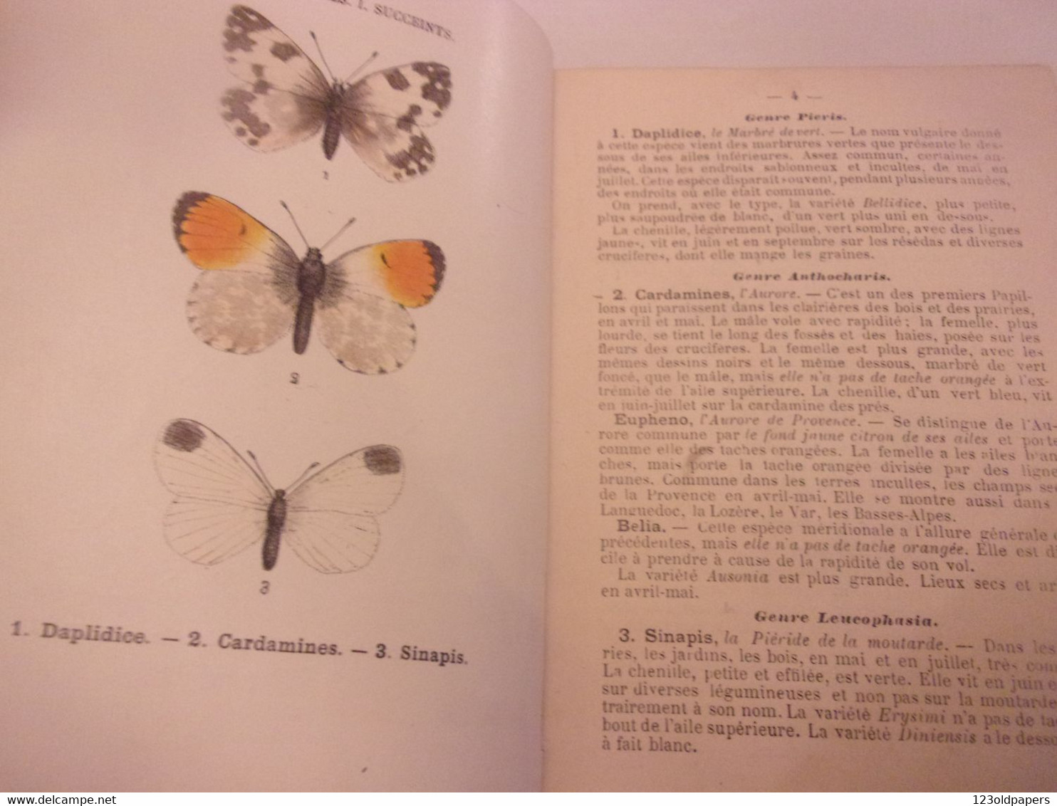 ♥️♥️ 1898 ENTOMOLOGIE ATLAS DE POCHE DES PAPILLONS DE FRANCE SUISSE ET BELGIQUE LES PLUS REPANDUS 72 PLANCHES - 1801-1900