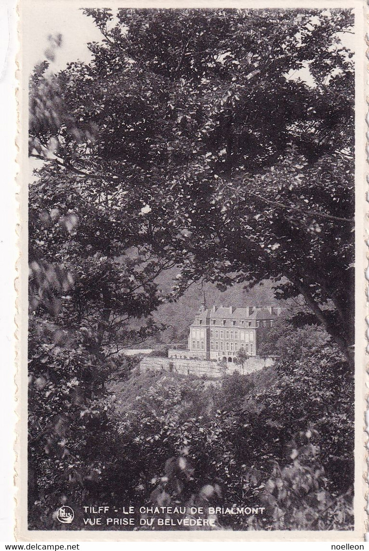 Tilff - Le Château De Brialmont Vue Prise Du Belvédère - Esneux
