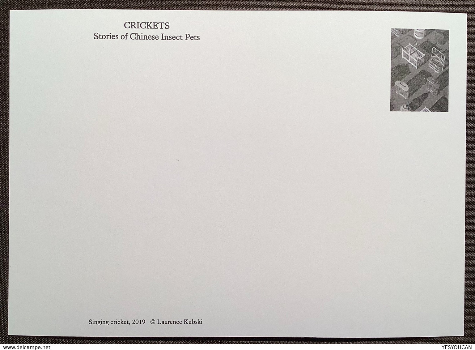 LAURENCE KUBSKI 2019 Famous Swiss Photographer Original Post Card "Crickets Chinese Insect Pets" (China Art Photography - Otros & Sin Clasificación