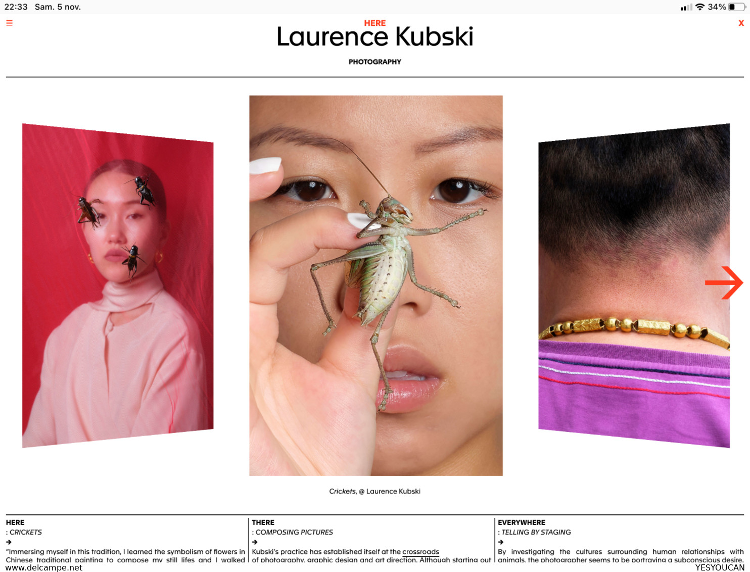 LAURENCE KUBSKI 2019 Famous Swiss Photographer Original Post Card "Crickets Chinese Insect Pets" (China Art Photography - Other & Unclassified