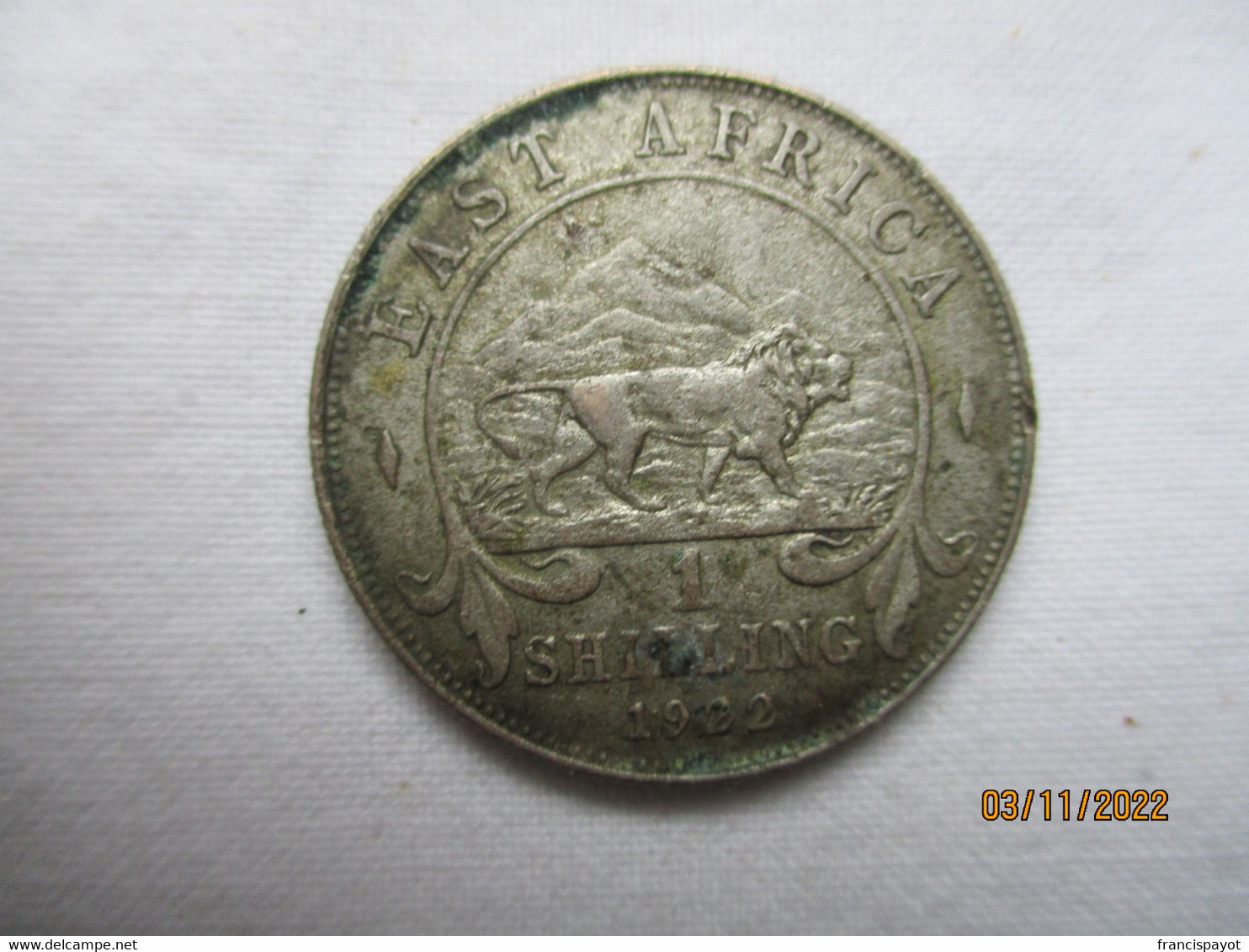 East Africa: 1 Shilling 1922 (silver) - Colonia Británica
