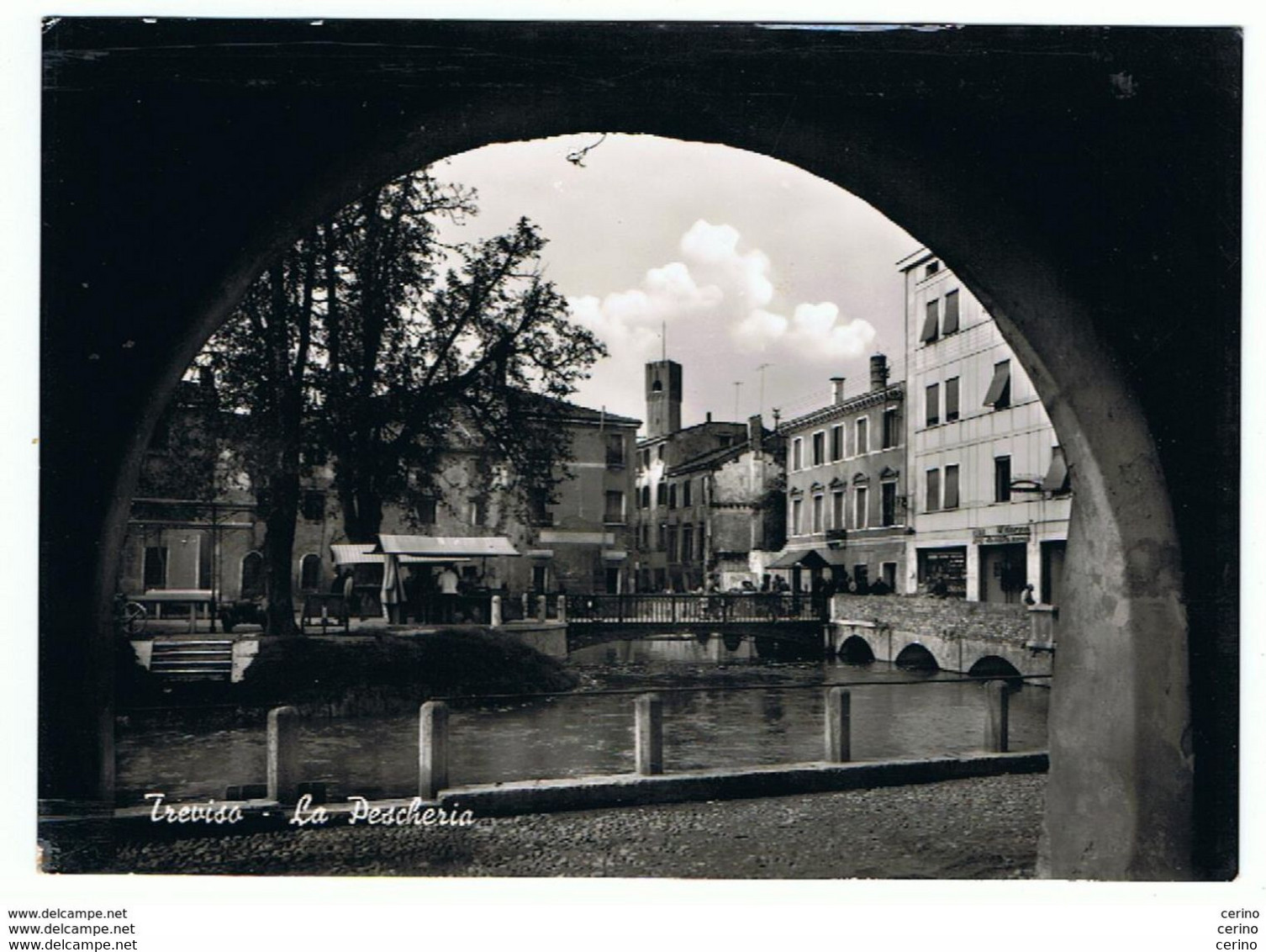 TREVISO:  LA  PESCHERIA  -  FOTO  -  FG - Halles