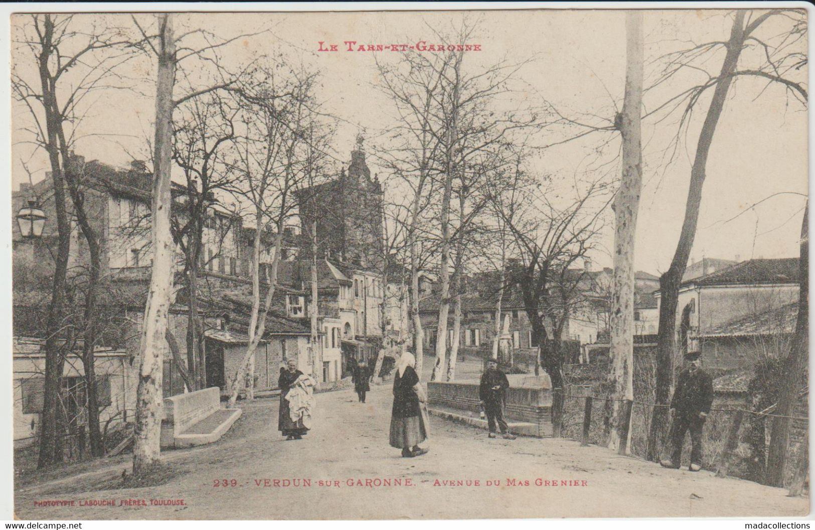 Verdun Sur Garonne (82 - Tarn Et Garonne) Avenue Du Mas Grenier - Verdun Sur Garonne
