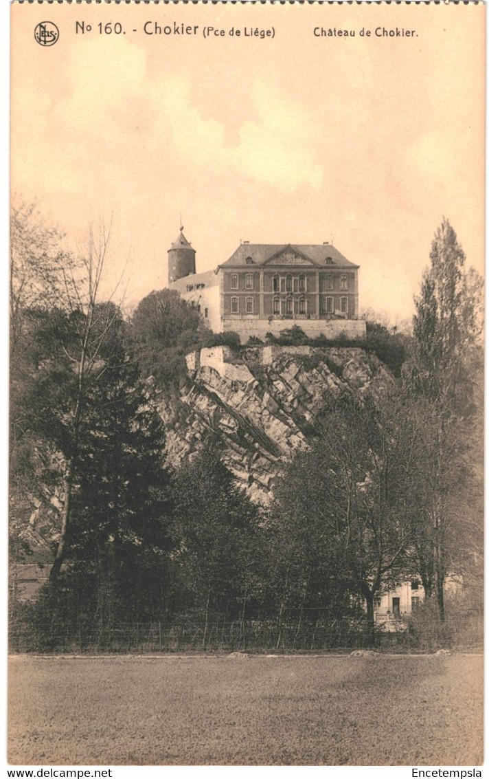 CPA Carte Postale  Belgique Chokier  Chateau De Chokier  VM58431 - Flémalle