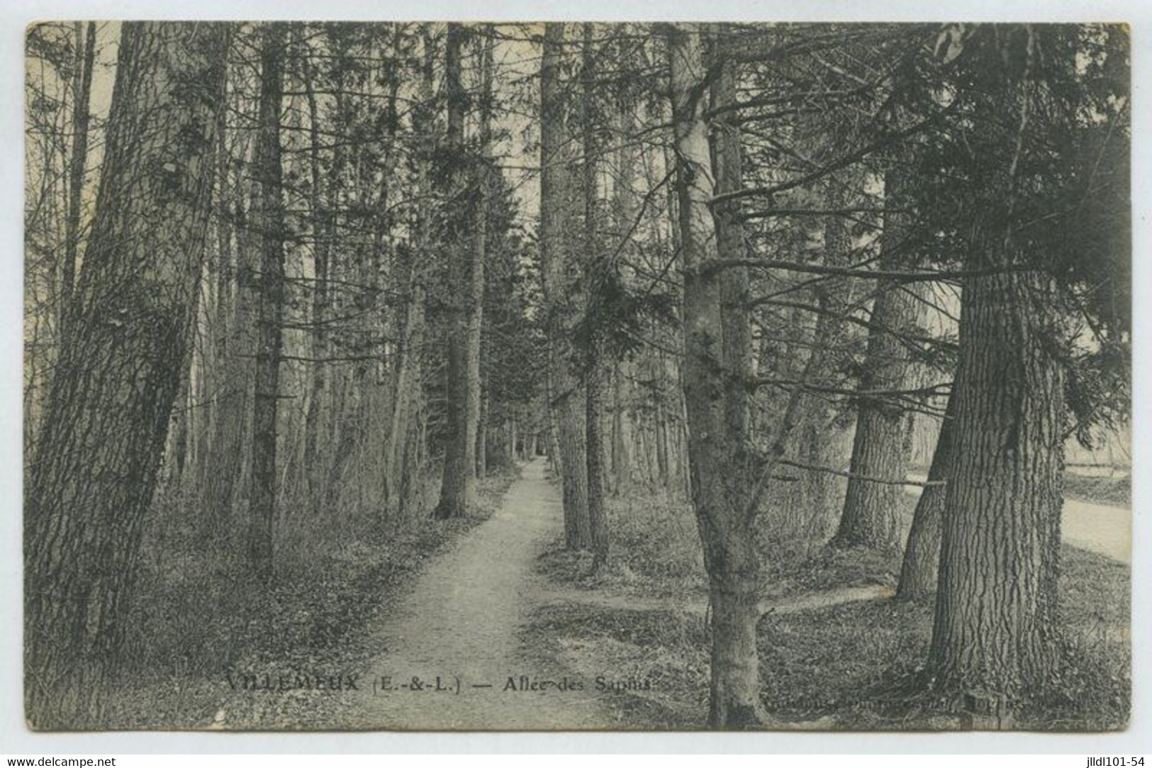 Villemeux, Allée Des Sapins - Villemeux-sur-Eure