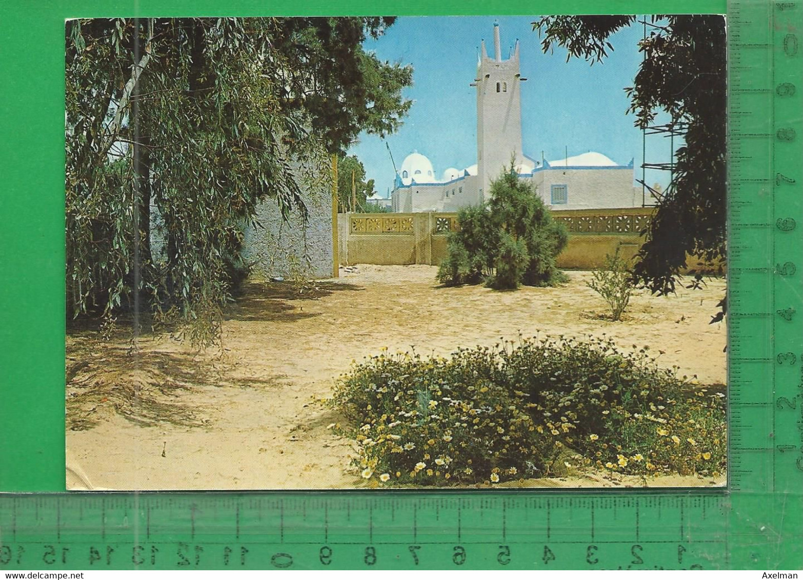 CPM  ALGÉRIE, EL-OUED : Hotel Transatlantique - El-Oued