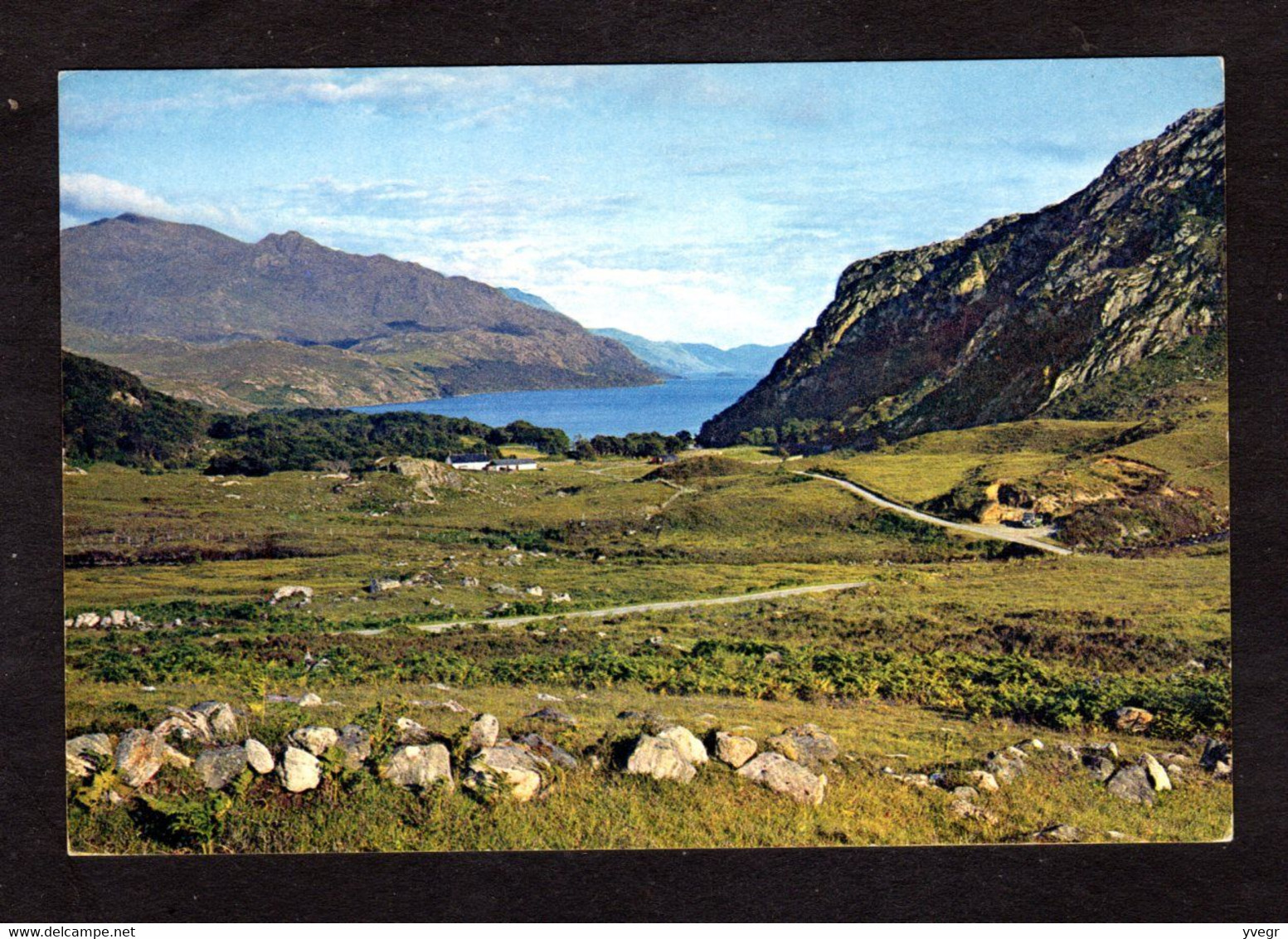 Ecosse - Loch Maree From Tollie, Ross-shire - Ross & Cromarty