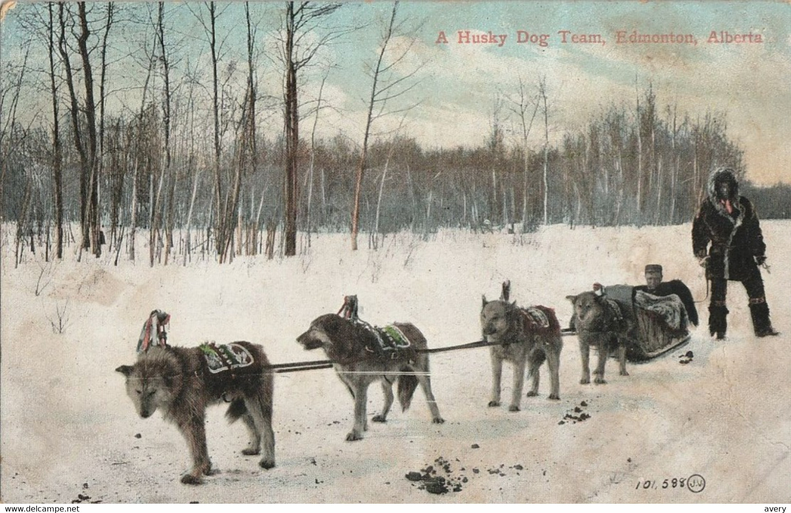 A Husky Dog Team, Edmonton, Alberta - Edmonton